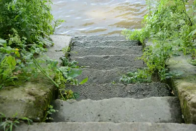 DSC_2498 (Large).JPG